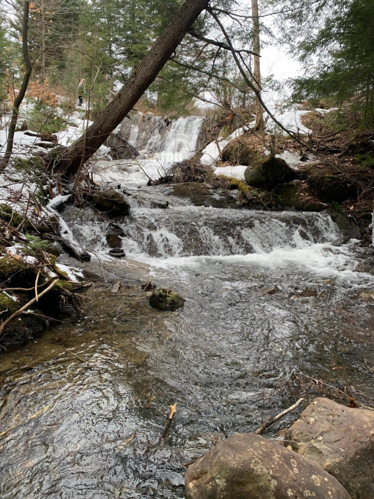 Paradis Sauvage Geronimo Saint-Etienne-de-Bolton 外观 照片